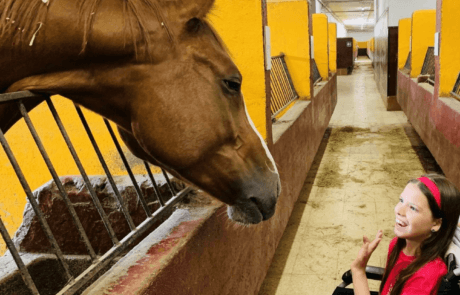 Carolina, in her wheelchair, greets a horse leaning out of its stall.