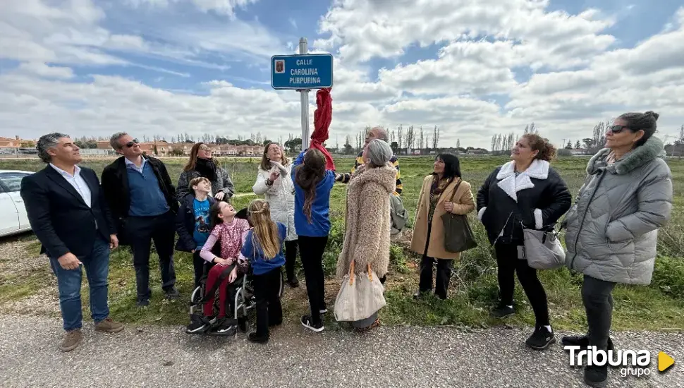 Unveiling of the Calle Carolina Purpurina sign: a group, including a girl in a wheelchair, looks up at the blue plaque.